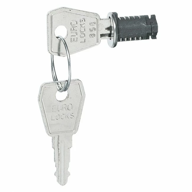Modular Switchboards Key Lock For Plexo Cabinets Legrand 001966 3 Modular Switchboards Key Lock For Plexo Cabinets Legrand 001966